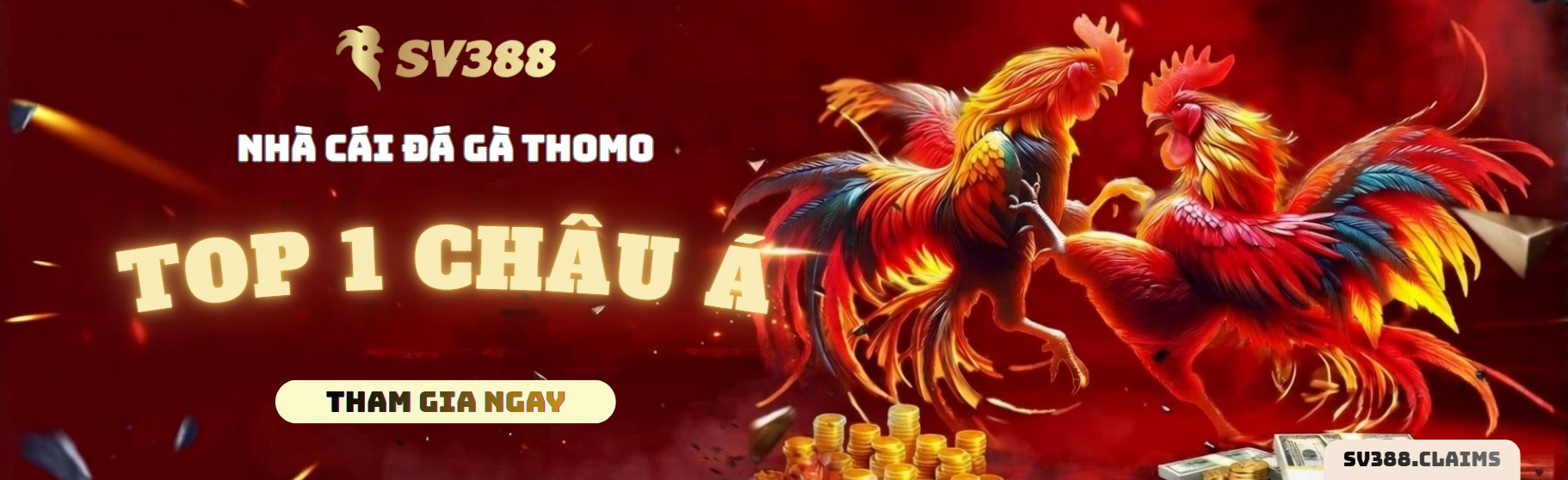 Nhà cái SV388.com đấu trường đá gà top 1 châu Á