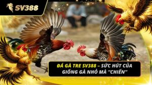 Đá gà Tre SV388